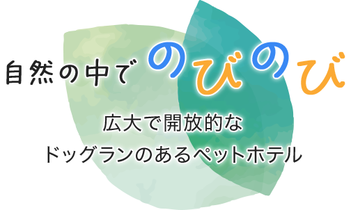 自然の中でのびのび広大で開放的なドッグランのあるペットホテル